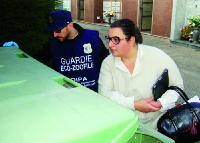 Sospetta moria di gattial cimitero canellese