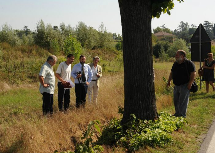 Sottoscrizione per il testa 65 tigli "condannati"