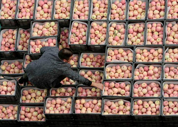 Sulla Russia c'è l'embargo,le mele astigiane non si vendono