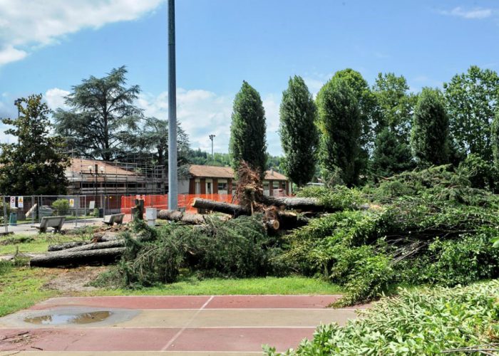 Tagliati alberi e siepi alla pista di atleticaProtestano ambientalisti e sportivi