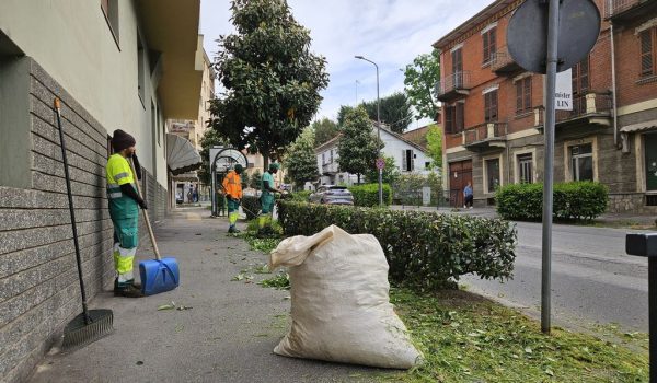 taglio siepe tra via Fantaguzzi e viale Partigiani