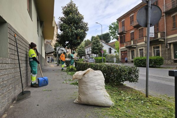 taglio siepe tra via Fantaguzzi e viale Partigiani