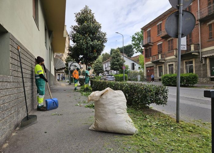 taglio siepe tra via Fantaguzzi e viale Partigiani