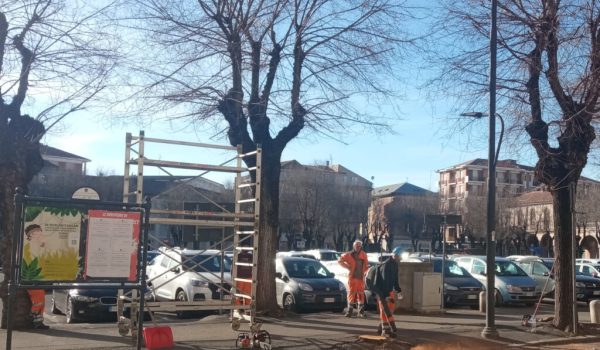 taglio alberi pzagarib