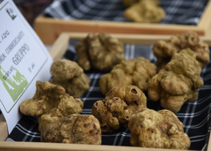 Presentazione fiera tartufo Moncalvo 2022