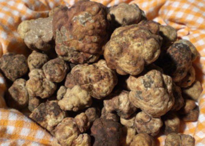 Tartufo protagonista in tavola,doppio appuntamento alla rassegna