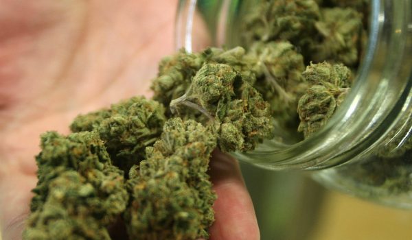 Teneva la marijuana nel suo congelatore, sequestrati 9 kg a Serole