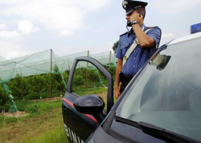 Tradito dal nervosismo: studente astigianofermato sulla sua auto, trasportava marijuana