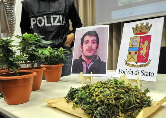 Una serra di marijuana nell'appartamentoArrestato 23enne, denunciata la madre