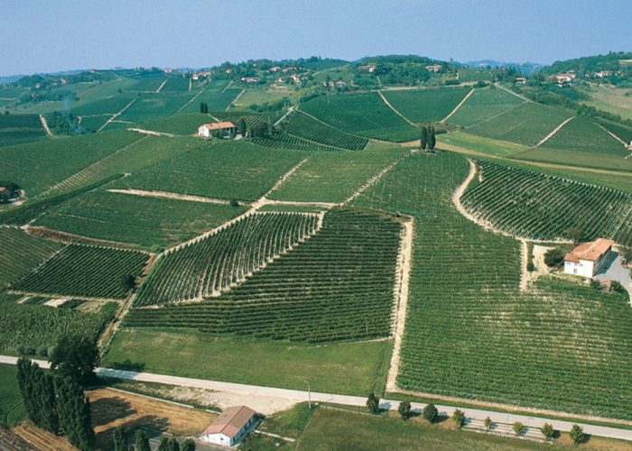 Una stanza con vista sui vignetiè la prima richiesta degli stranieri