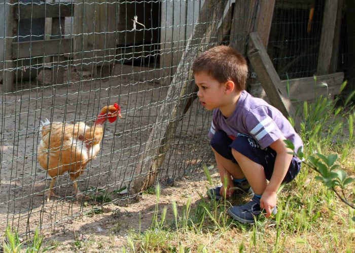 Una tata un po' speciale per GiacomoIn fattoria al posto della baby sitter