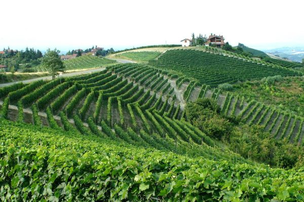 Unesco, il dossier ridimensionatoconsegnato oggi a Parigi