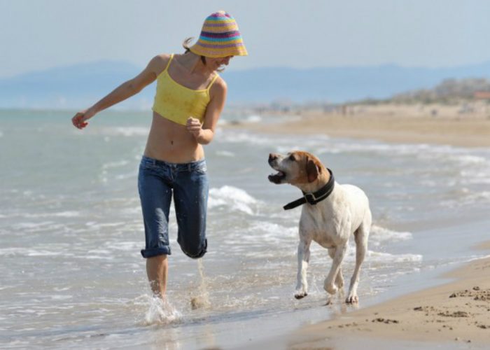 Vacanze al mare o altrove, partite col cane