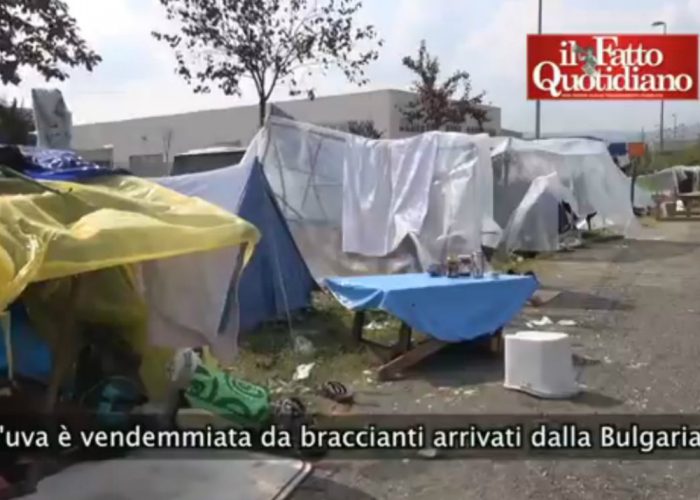 Vendemmia: le telecamere de "Il Fatto Quotidiano" nella tendopoli di Canelli
