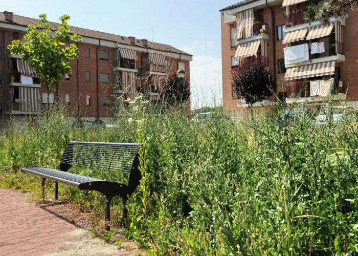 Via Perroncito: per passare l'area verdeportatevi dietro un decespugliatore
