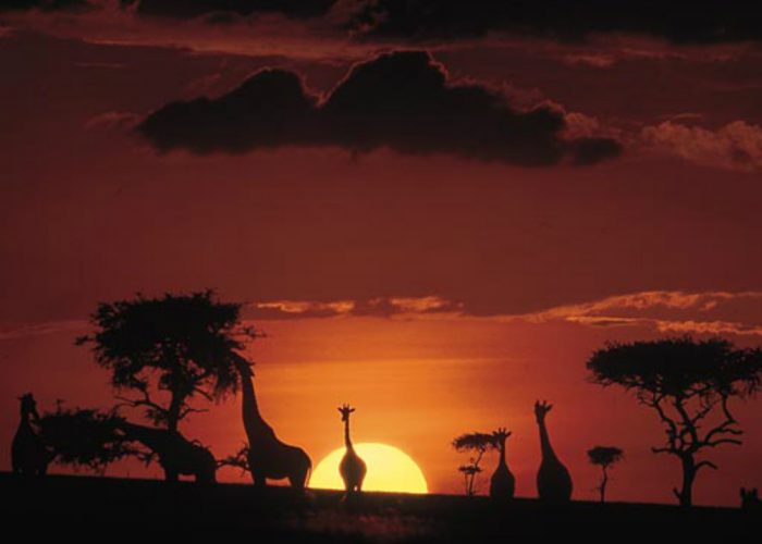 Viaggio in Kenya con la Lvia, iscrizioni aperte fino al 6 settembre