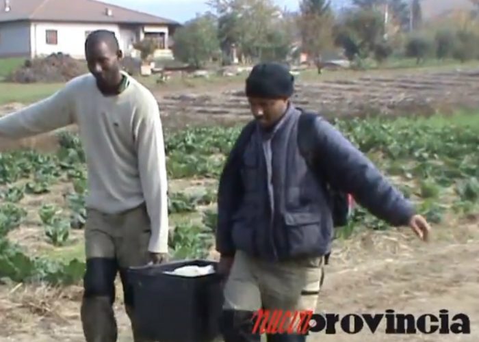 VIDEO: Maramao, l'azienda dei profughi contadini