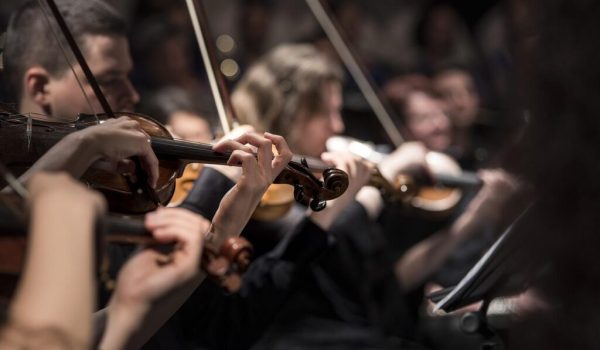 violins-1838390_1280
